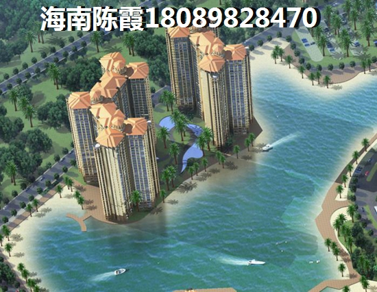 >2020海南佰悦湾买房子分析
